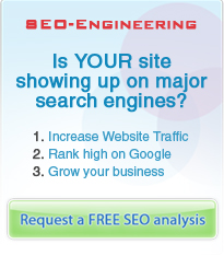 Wildcard Seo Engineering